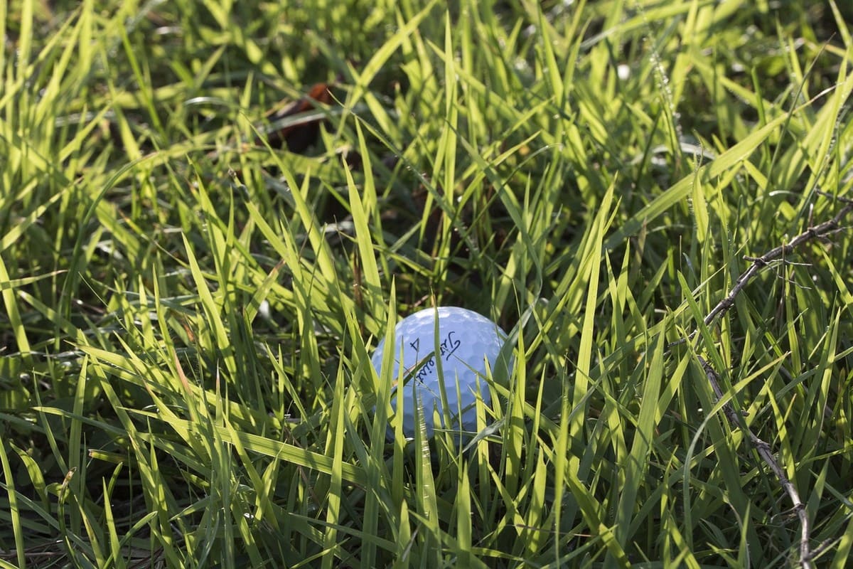 Peut-on demander de l'aide pour retrouver sa balle de golf ?